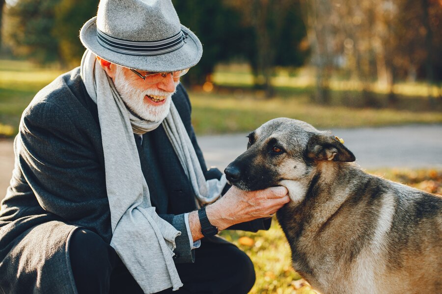 The Heartwarming Effects of Pet Therapy for Seniors