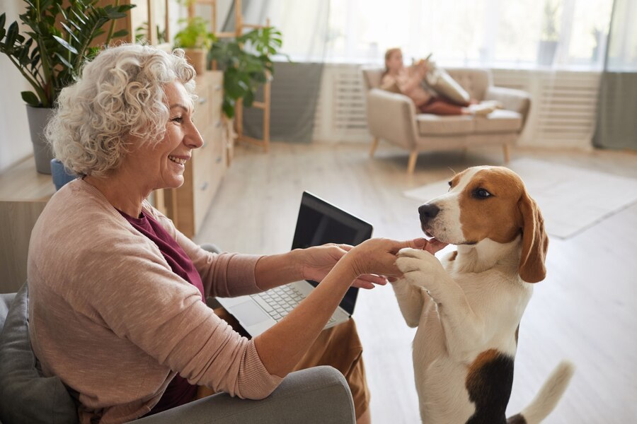 The Heartwarming Effects of Pet Therapy for Seniors